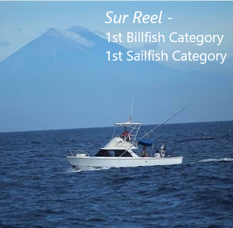 Sur Reel 1st billfish and sailfish